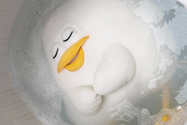 無添加洗剤で安心安全